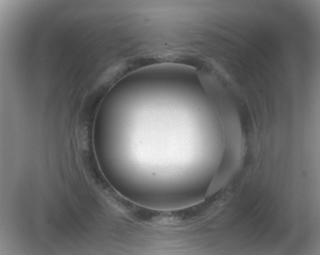 X0000082200689200701270118