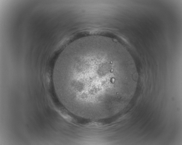 X0000082200691200701270118