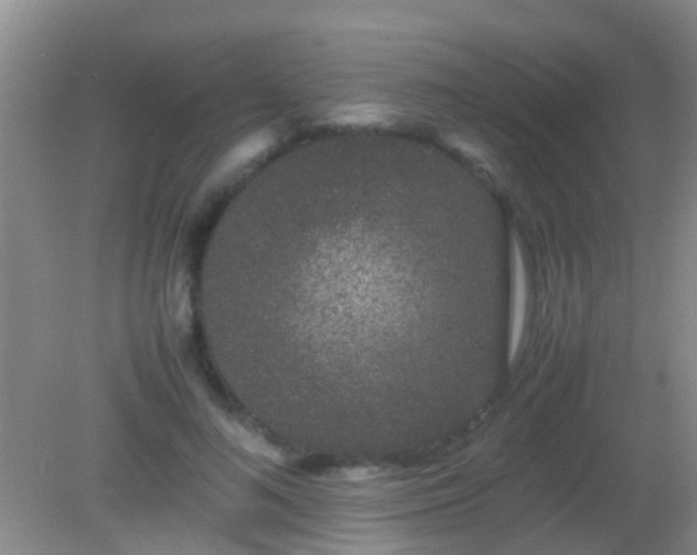 X0000082200692200701270118