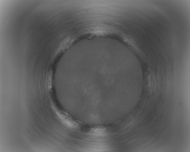 X0000082200694200701270118