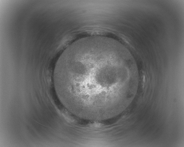 X0000082200695200701270118