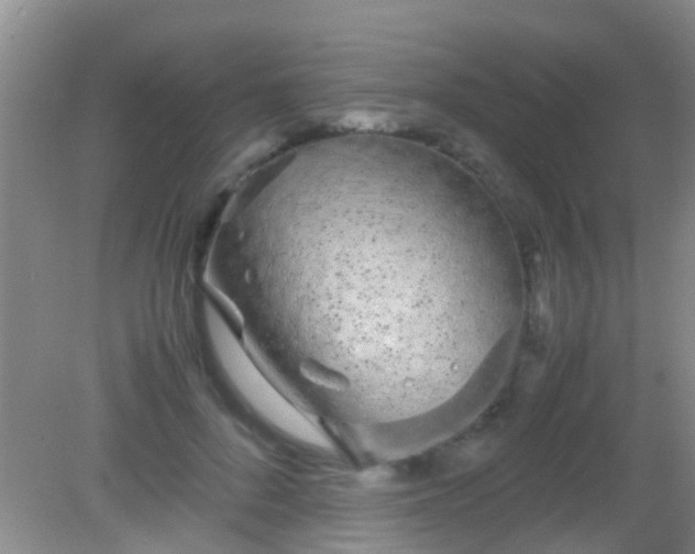 X0000082200696200701270118