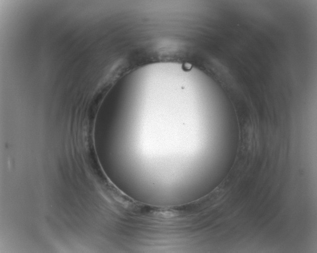 X0000082200698200701270118