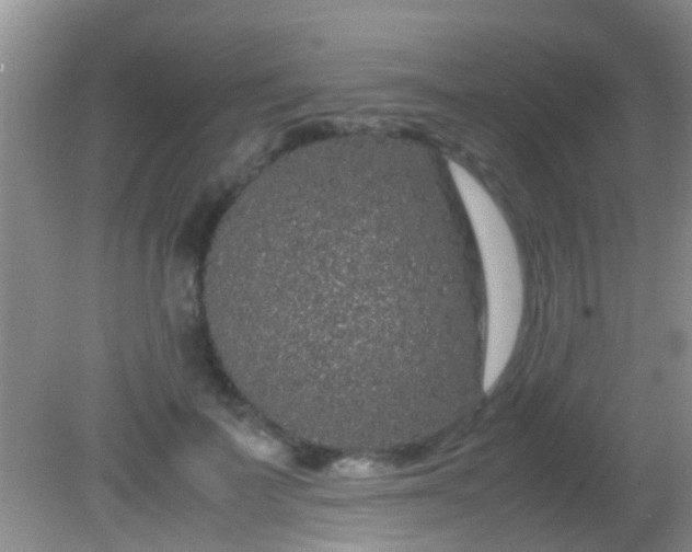 X0000082200699200701270118