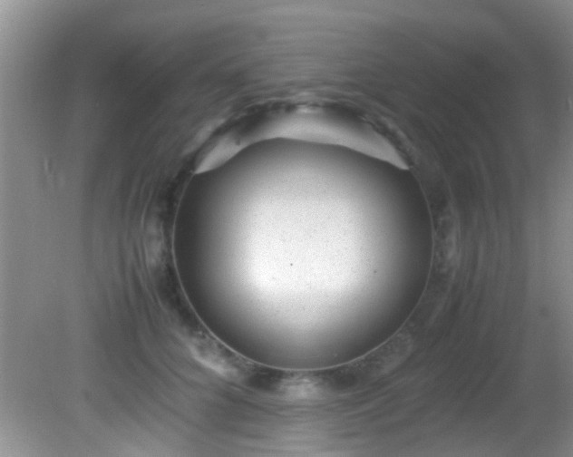 X0000082200704200701270118