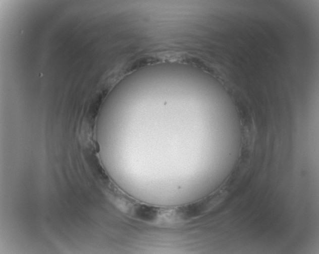 X0000082200705200701270118