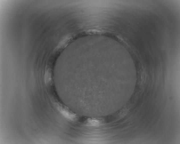 X0000082200706200701270118