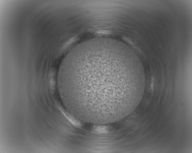 X0000082200710200701270118