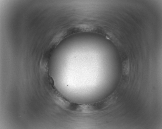 X0000082200713200701270118