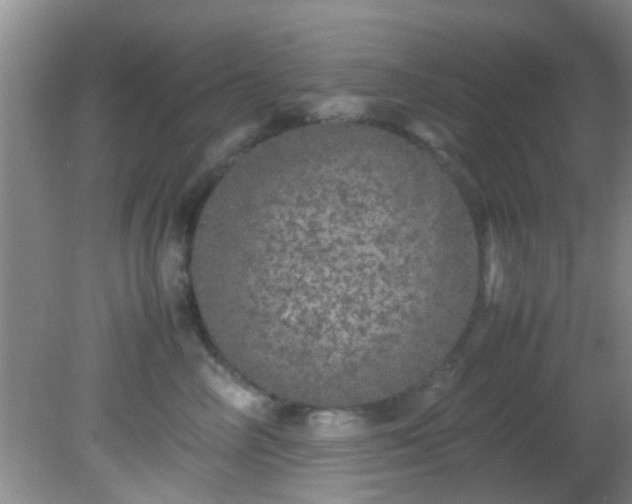 X0000082200714200701270118