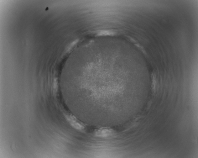 X0000082200716200701270118