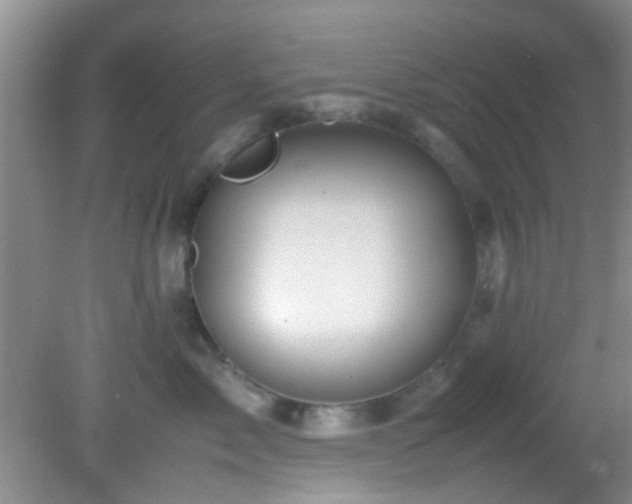 X0000082200717200701270118