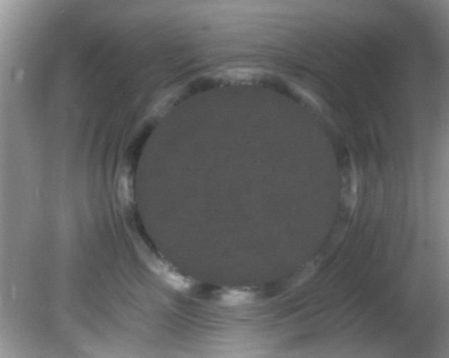 X0000082200718200701270118