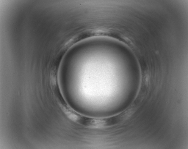 X0000082200719200701270118