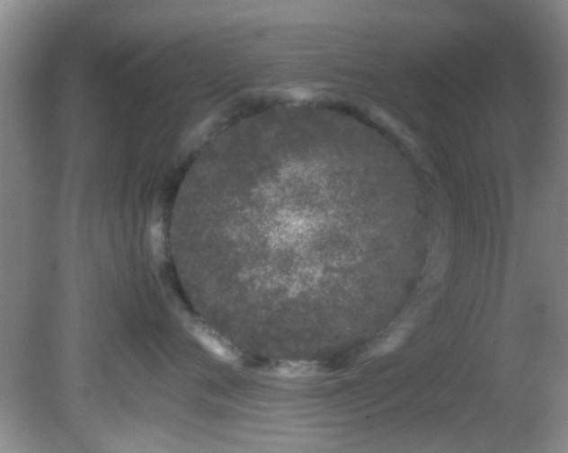 X0000082200720200701270118