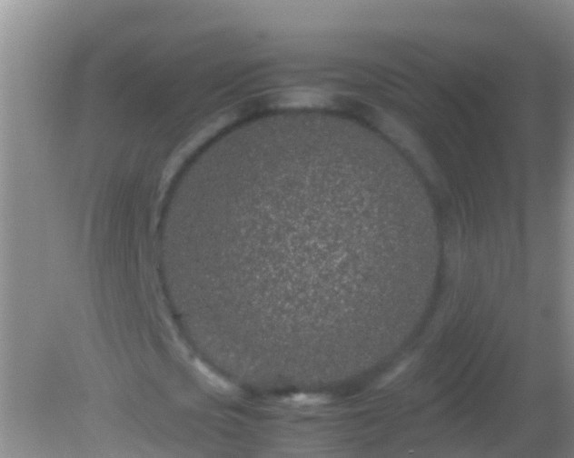 X0000082200721200701270117