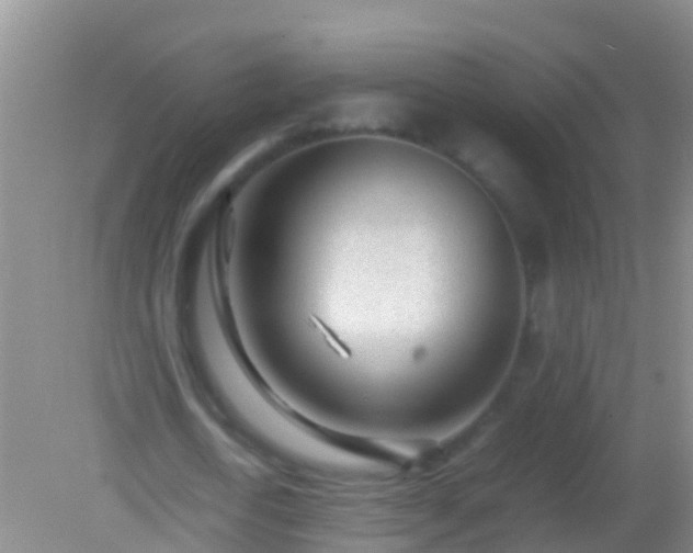 X0000082200722200701270117