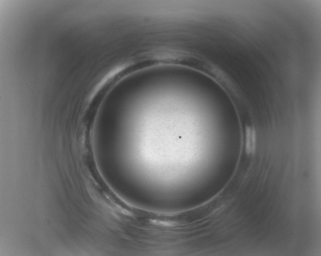 X0000082200723200701270117