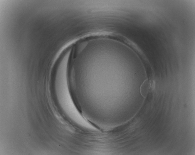 X0000082200724200701270117