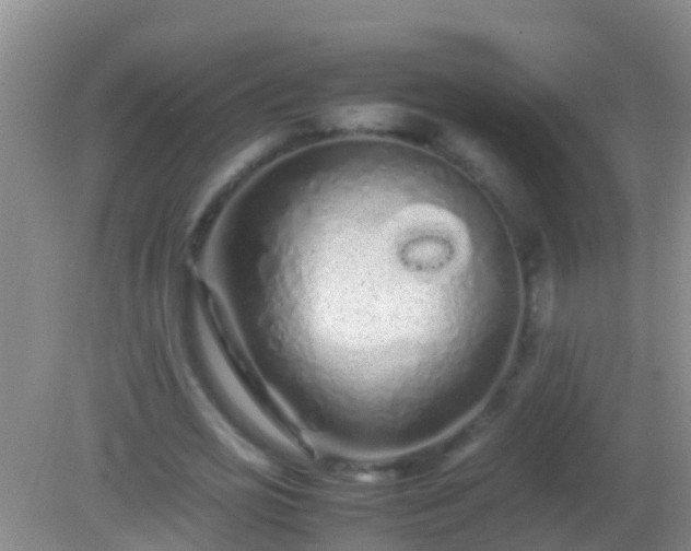 X0000082200725200701270117