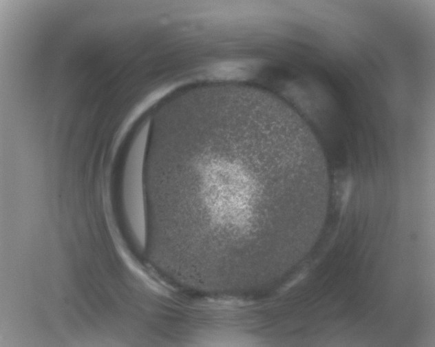 X0000082200726200701270117