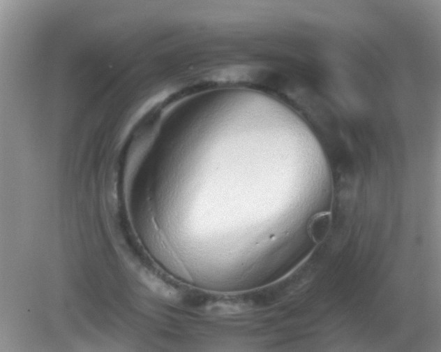 X0000082200727200701270117