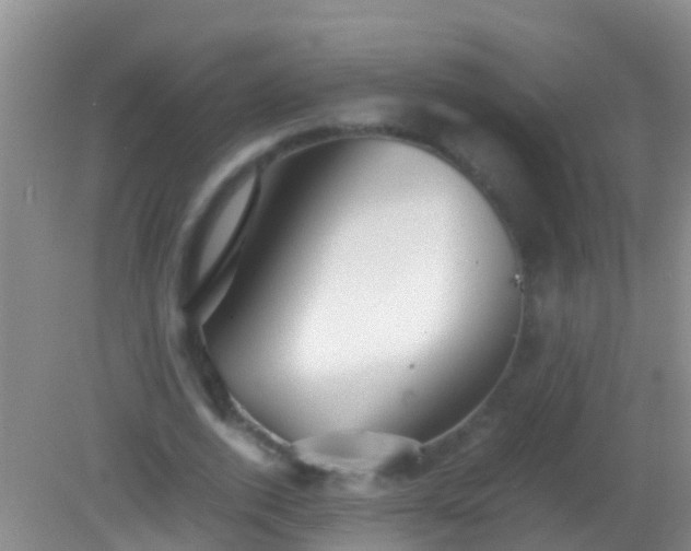 X0000082200728200701270117