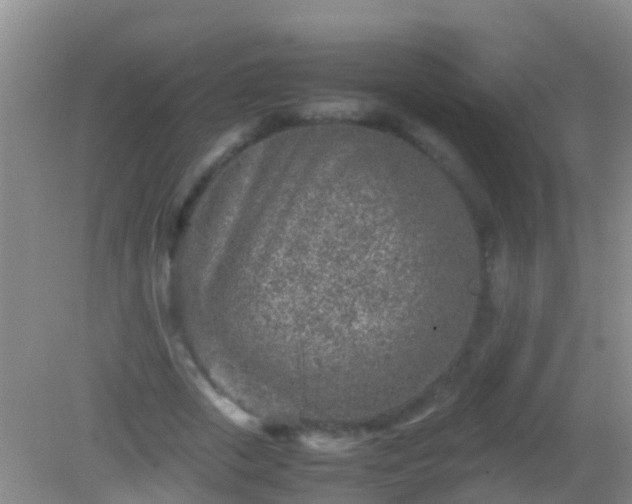 X0000082200729200701270117