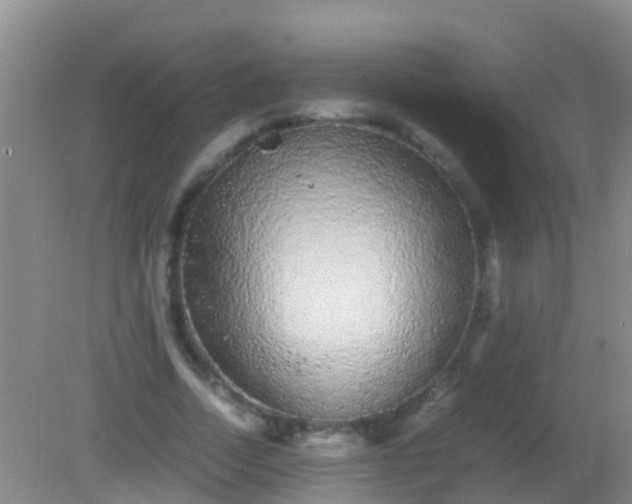 X0000082200730200701270117