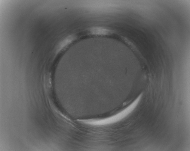 X0000082200731200701270117