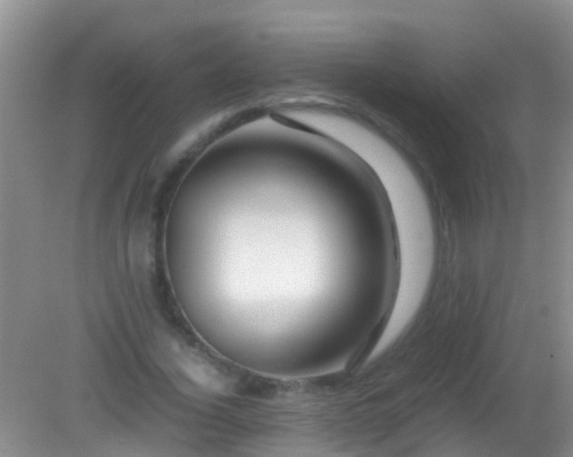 X0000082200732200701270117