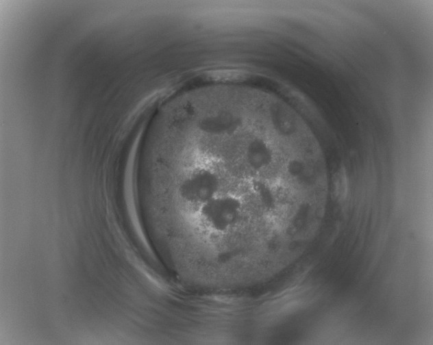 X0000082200733200701270117