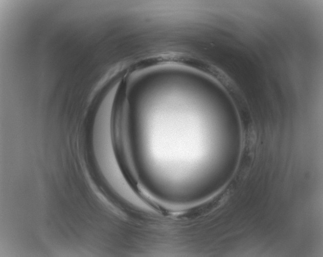 X0000082200734200701270117