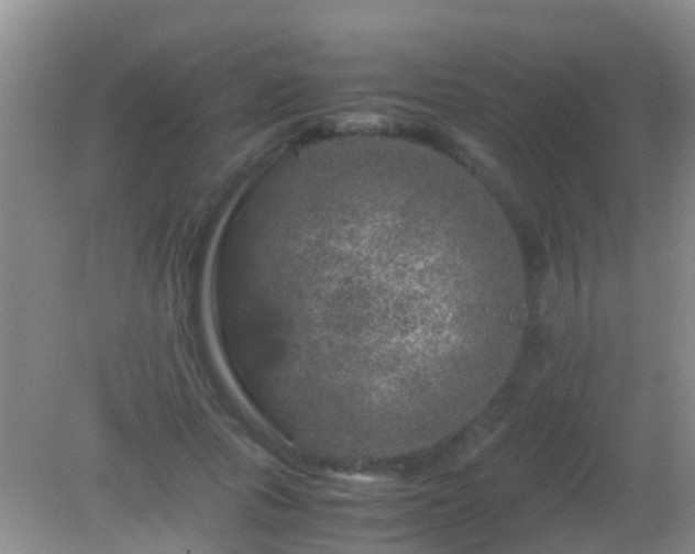 X0000082200737200701270117