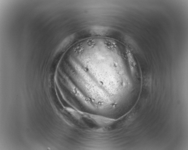 X0000082200738200701270117