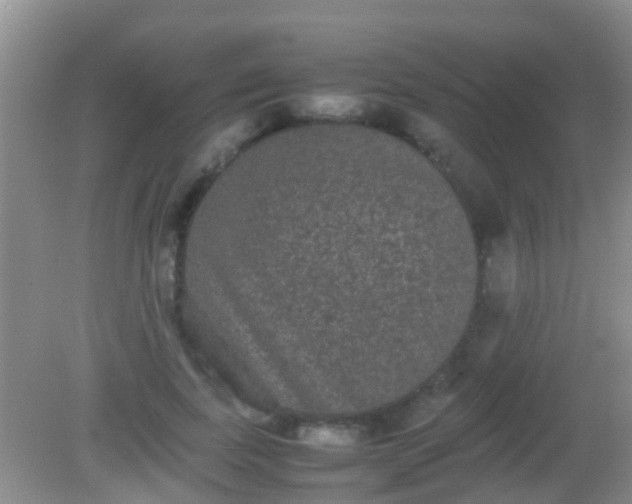 X0000082200739200701270117