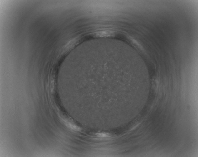 X0000082200741200701270118