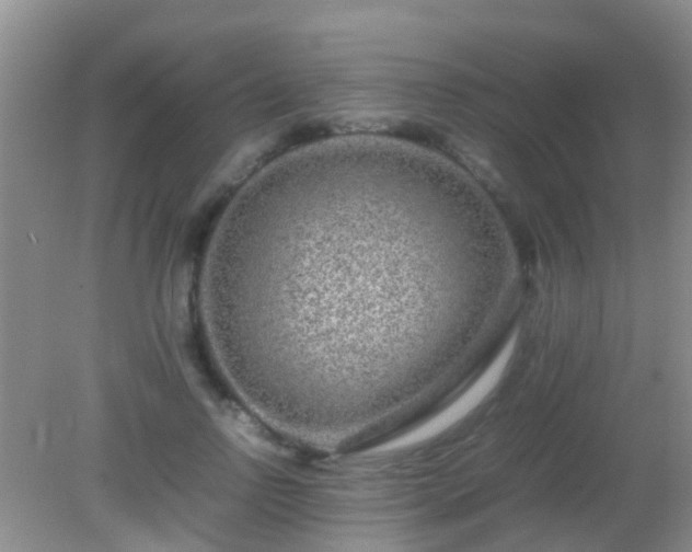 X0000082200742200701270118