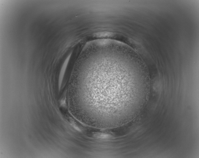 X0000082200743200701270118