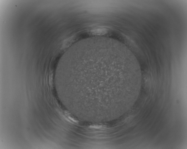 X0000082200745200701270118