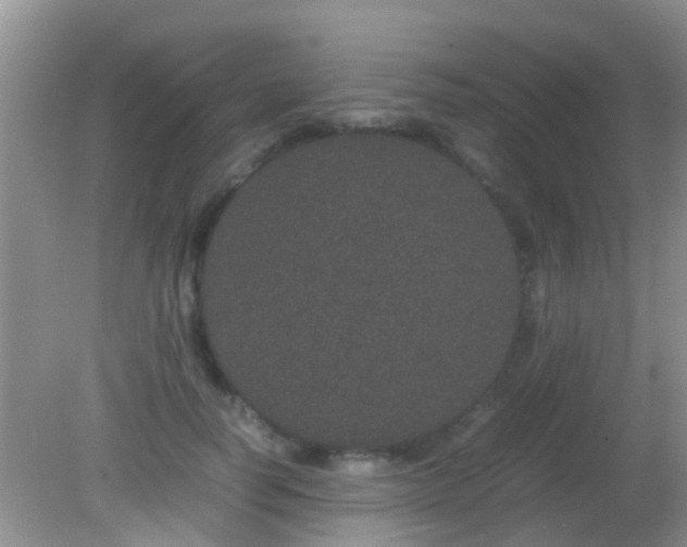 X0000082200746200701270118