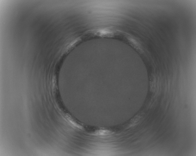 X0000082200748200701270118