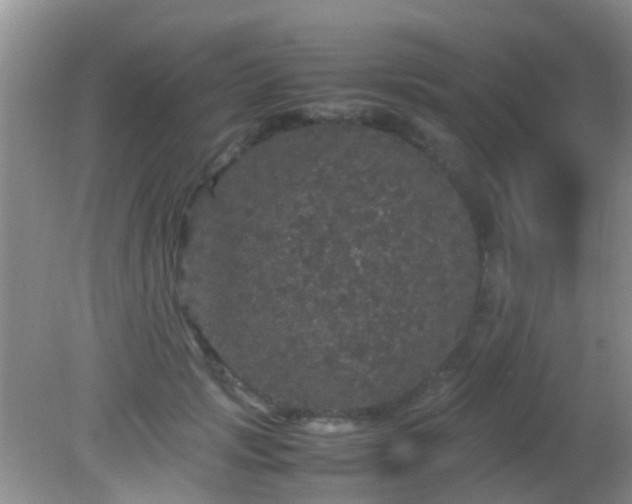 X0000082200749200701270118