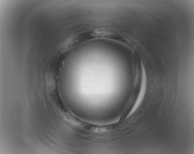 X0000082200751200701270118