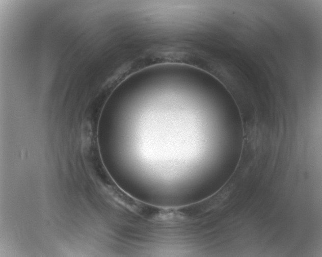 X0000082200752200701270118