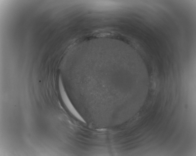 X0000082200753200701270118