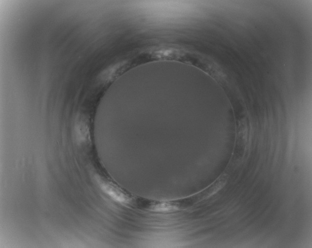 X0000082200754200701270118