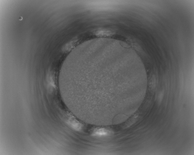 X0000082200755200701270118