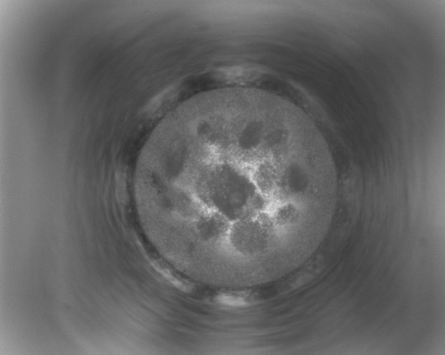 X0000082200757200701270118