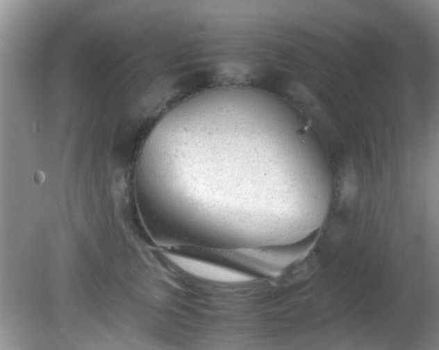 X0000082200759200701270118